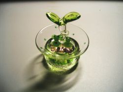 �H��A�G�݂̎ʐ^