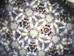 �ȒP�H��@�r�[�ʖ��؋�