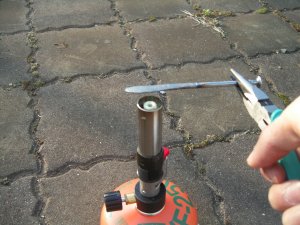 �B�i�C�t����